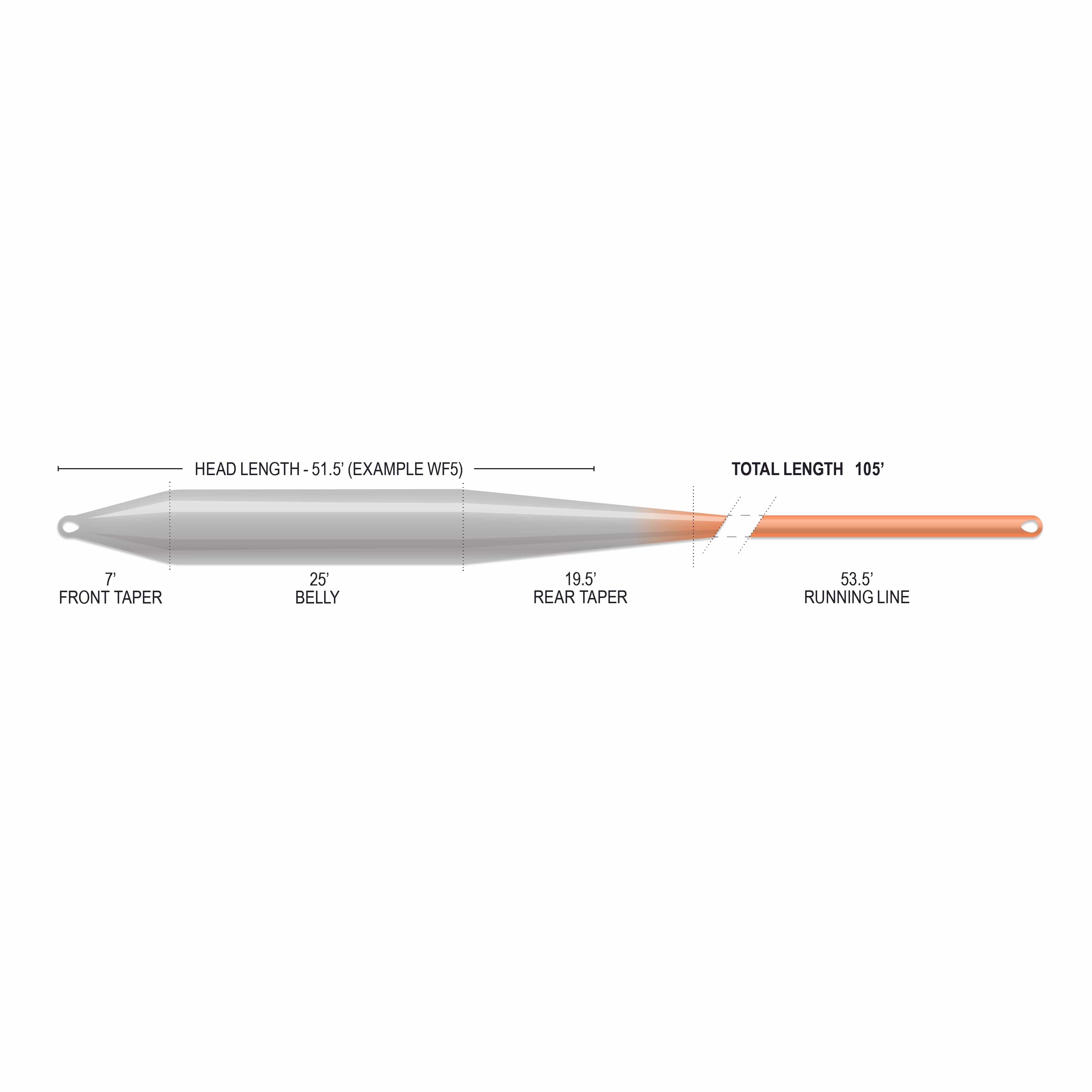 Airflo indicator taper fly line diagram, gray tapered belly fading to orange running line with labeled tapers