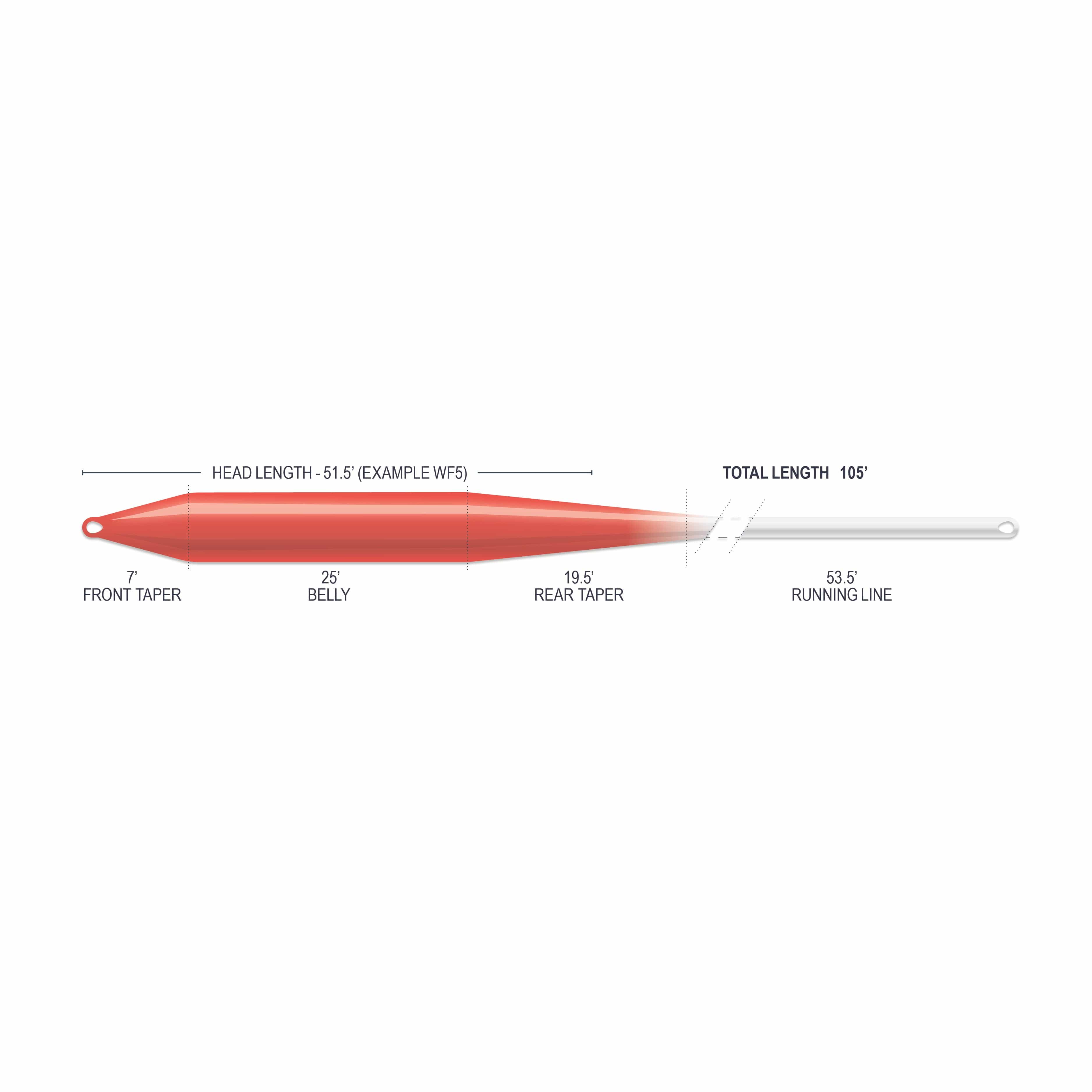 Airflo red-to-white indicator taper fly line showing red belly, front and rear tapers and white running line