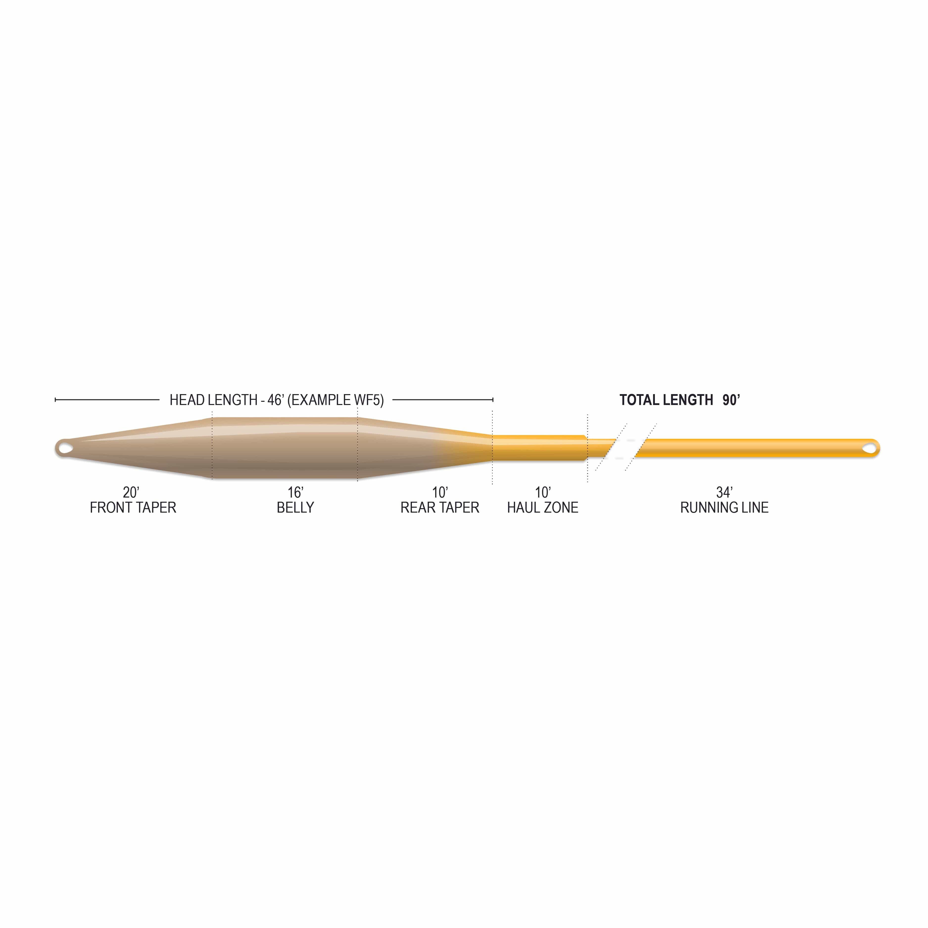 Airflo Superflo Max Ridge tan-to-orange tapered fly line showing supple belly, front/rear tapers and running line