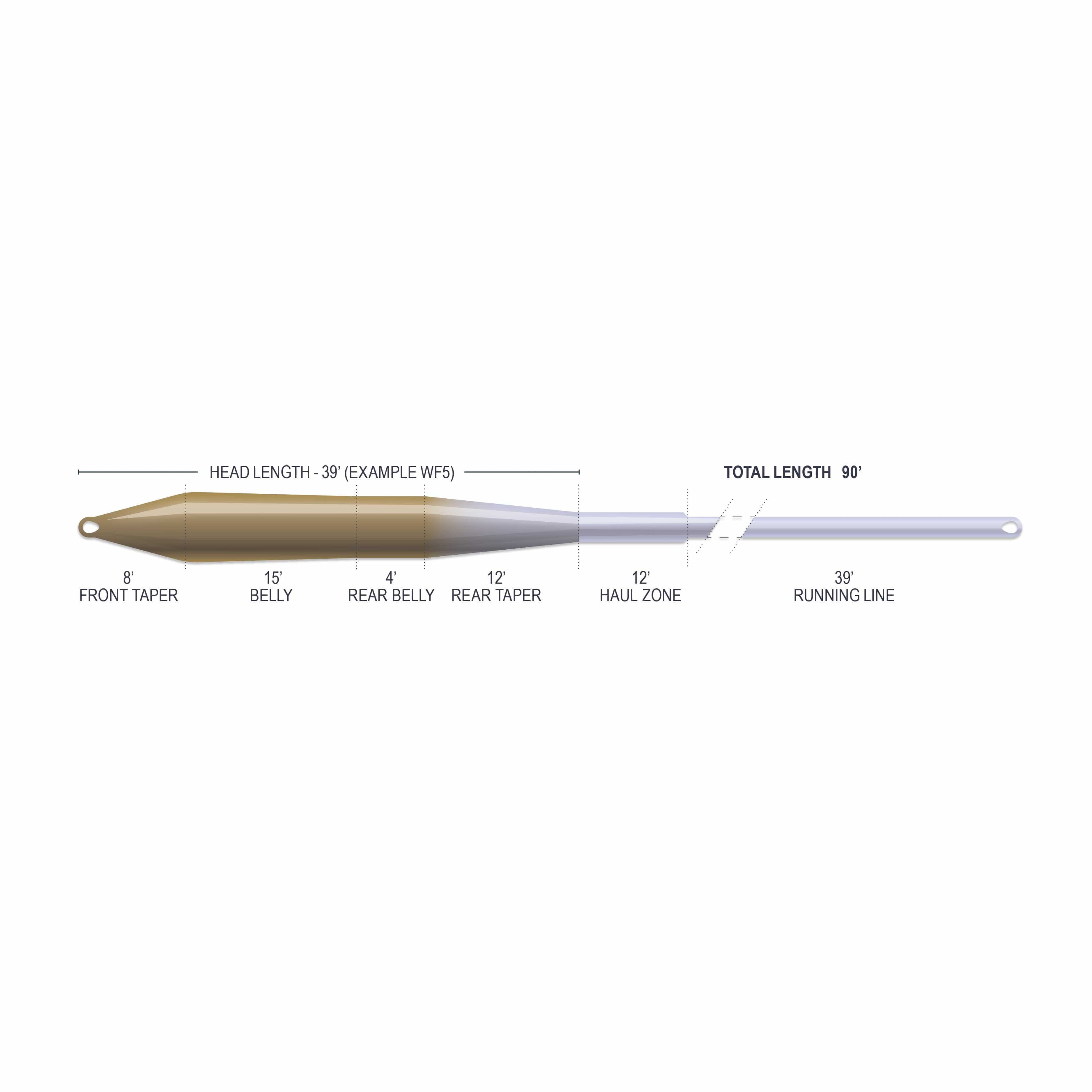 Airflo Superflo Max Ridge tapered fly line diagram showing brown belly tapering to pale blue running line with loops
