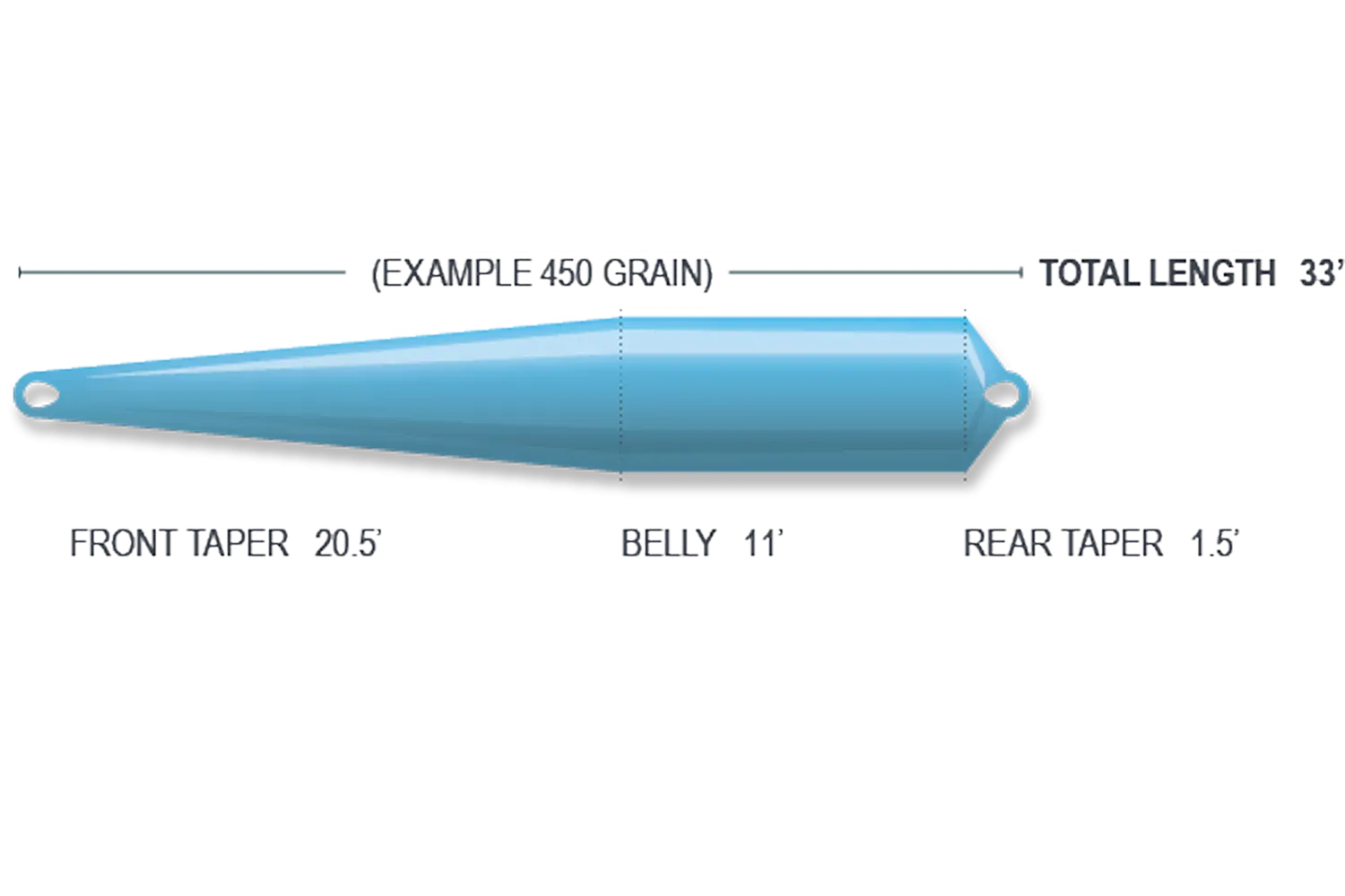 Light blue compact Scandi floating fly line diagram with tapered belly, black outline and welded loop ends