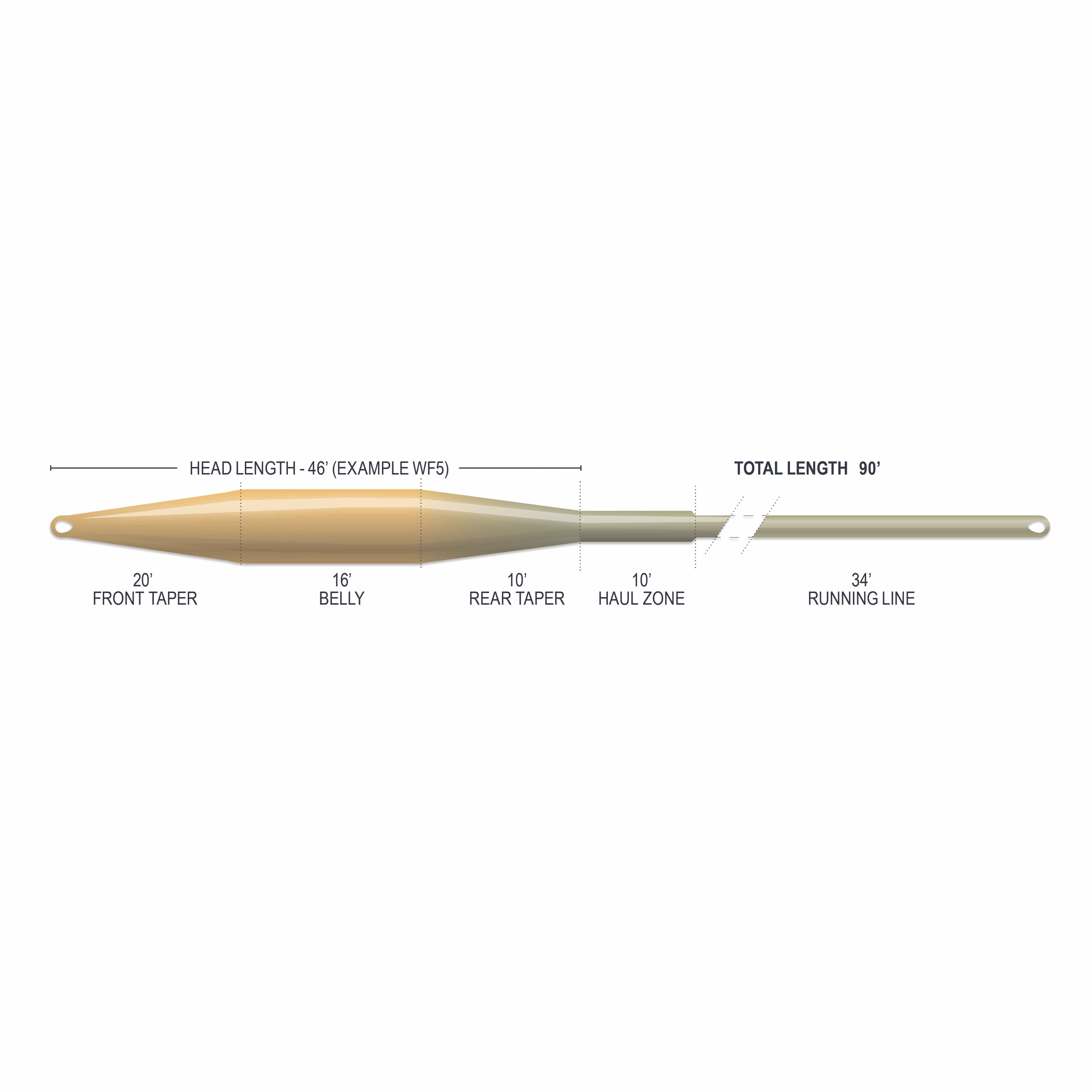Airflo Superflo Max Tactical Taper fly line, tan-to-olive tapered profile showing belly, tapers and running line