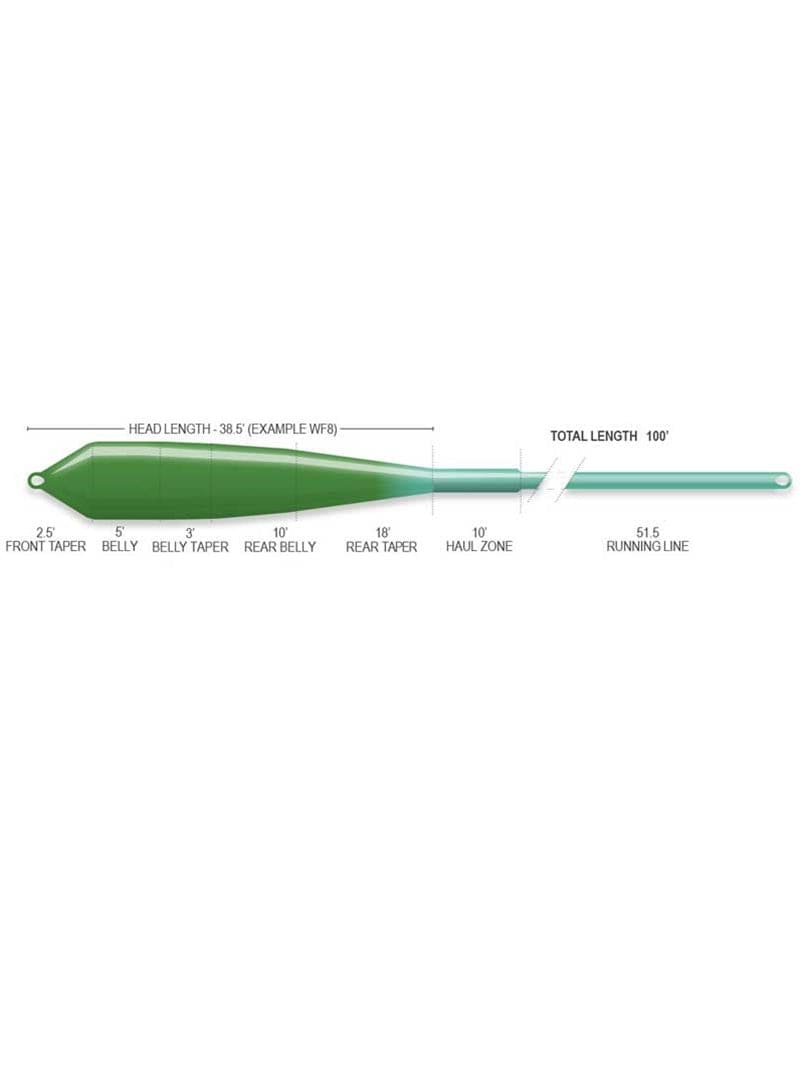 Airflo green tapered fly line diagram showing bulbous head, front/rear tapers, 10' haul zone and 51.5' running line