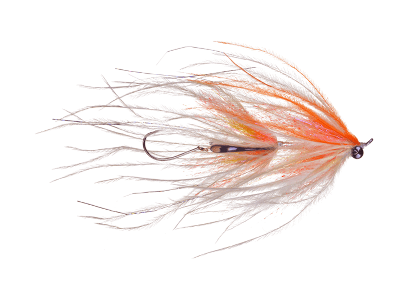 Jerry's Intruder Fly