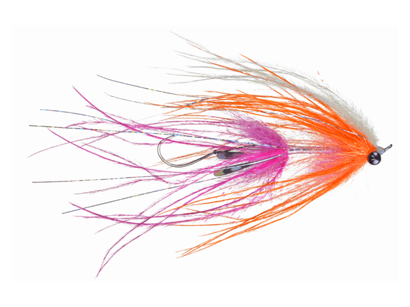 Jerry's Intruder Fly