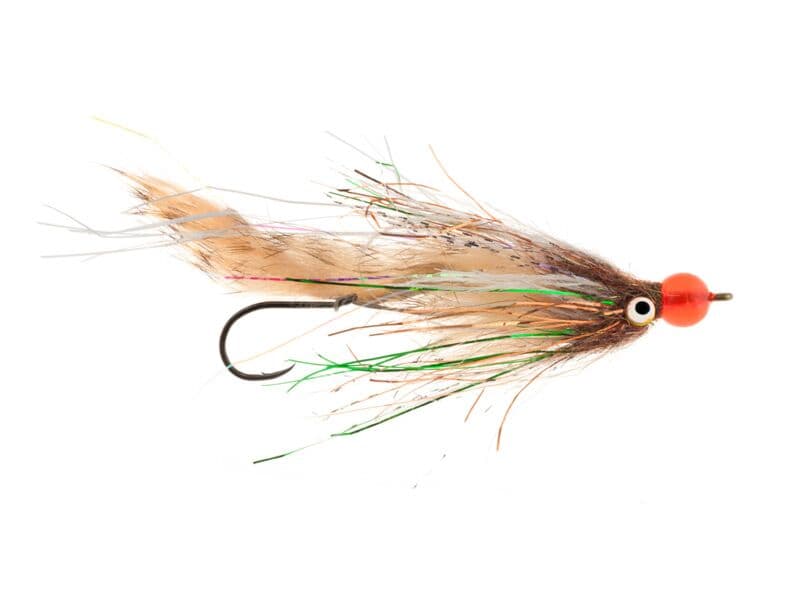 Senyo's Egg Raider Fly