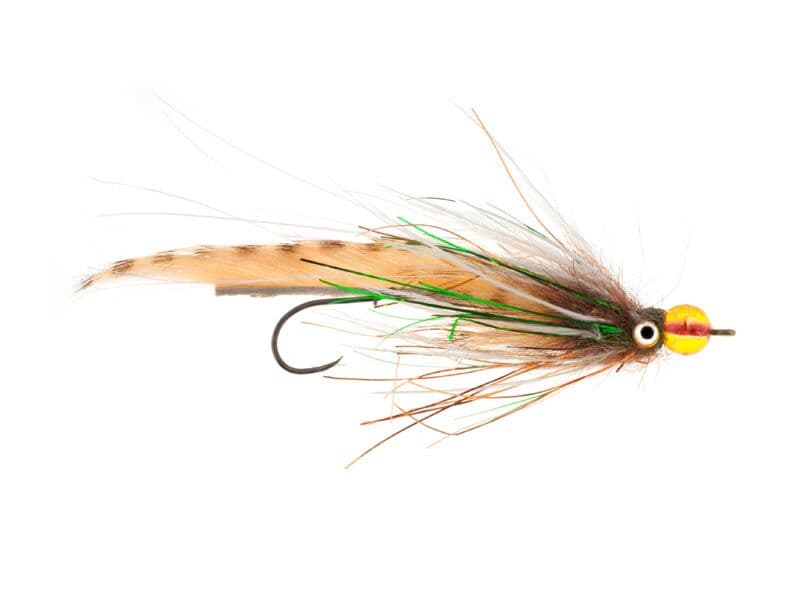 Senyo's Egg Raider Fly