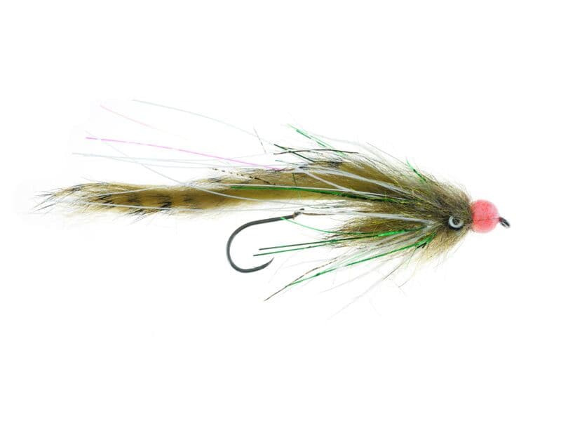 Senyo's Egg Raider Fly
