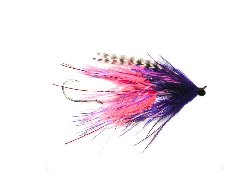 Stu's Barred Ostrich Intruder Fly