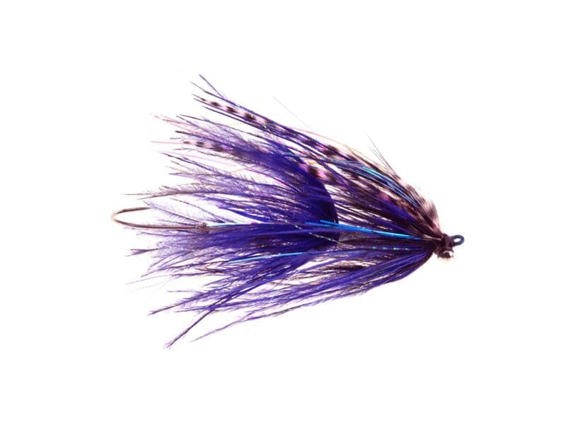 Stu's Barred Ostrich Intruder Fly