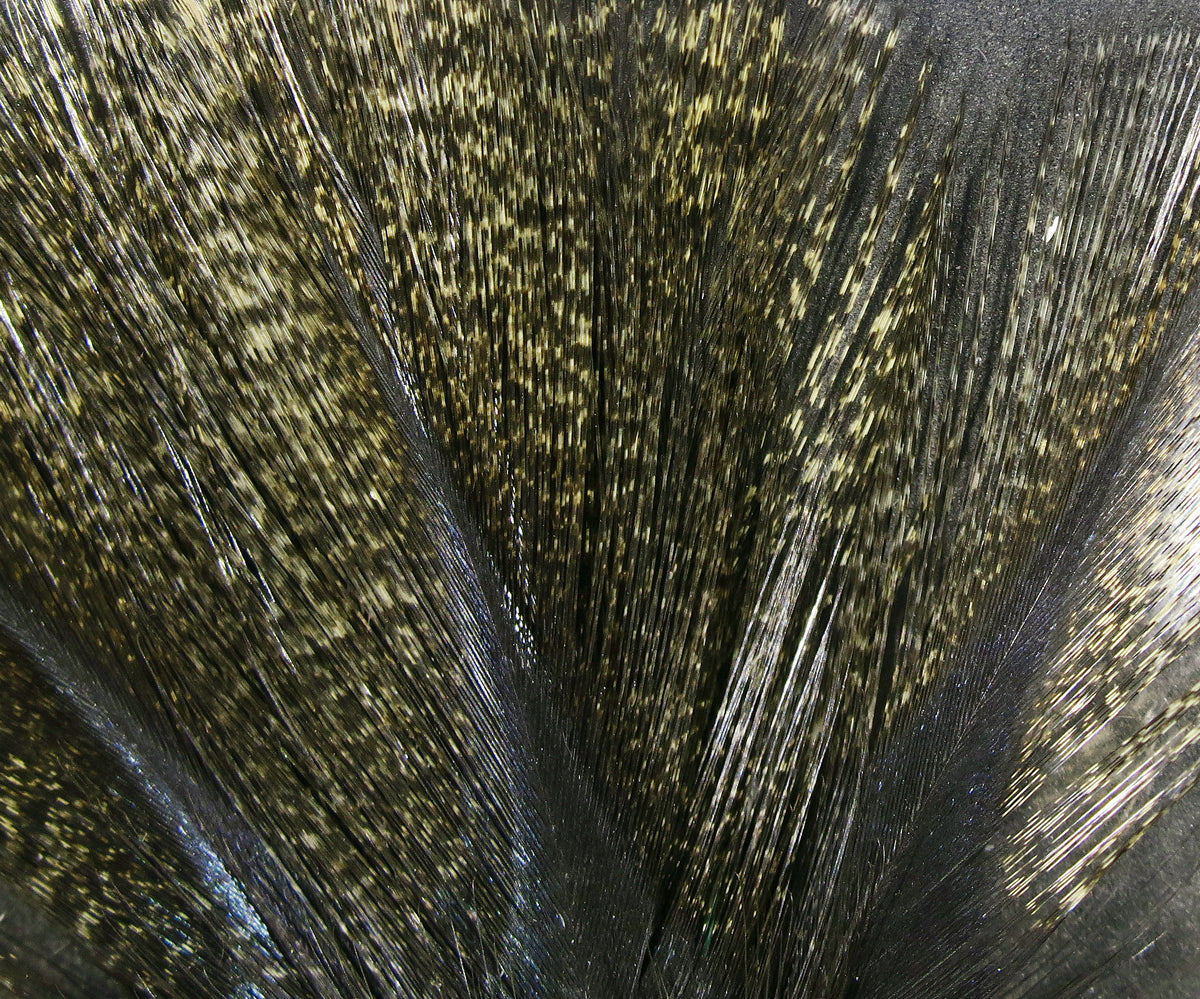 Hareline Coq De Leon Feathers