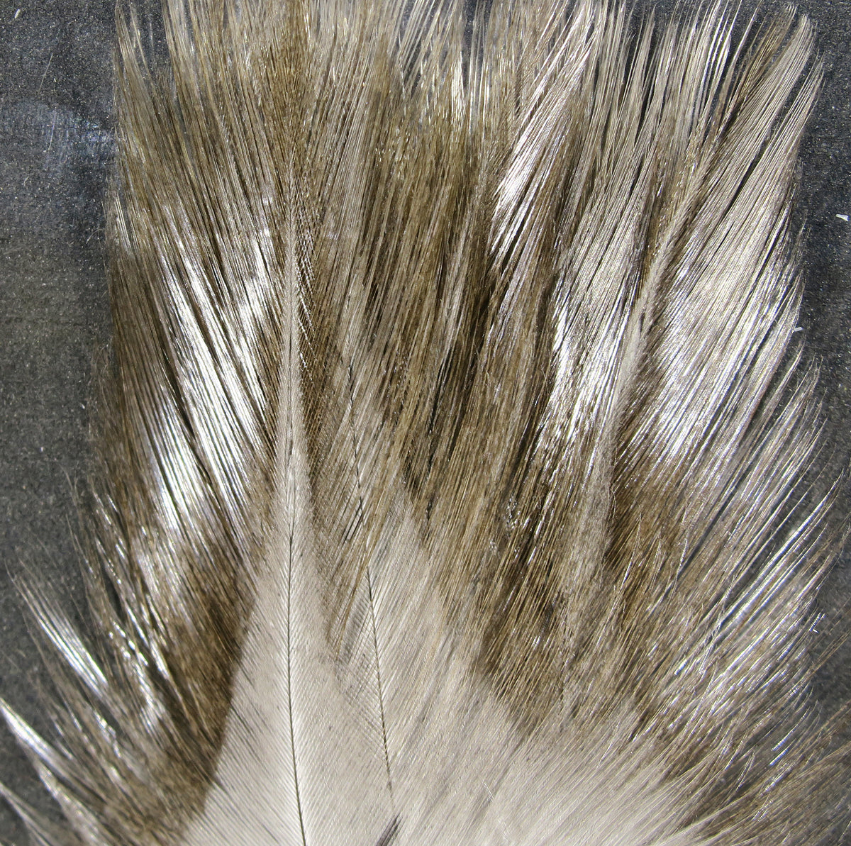 Hareline Coq De Leon Feathers