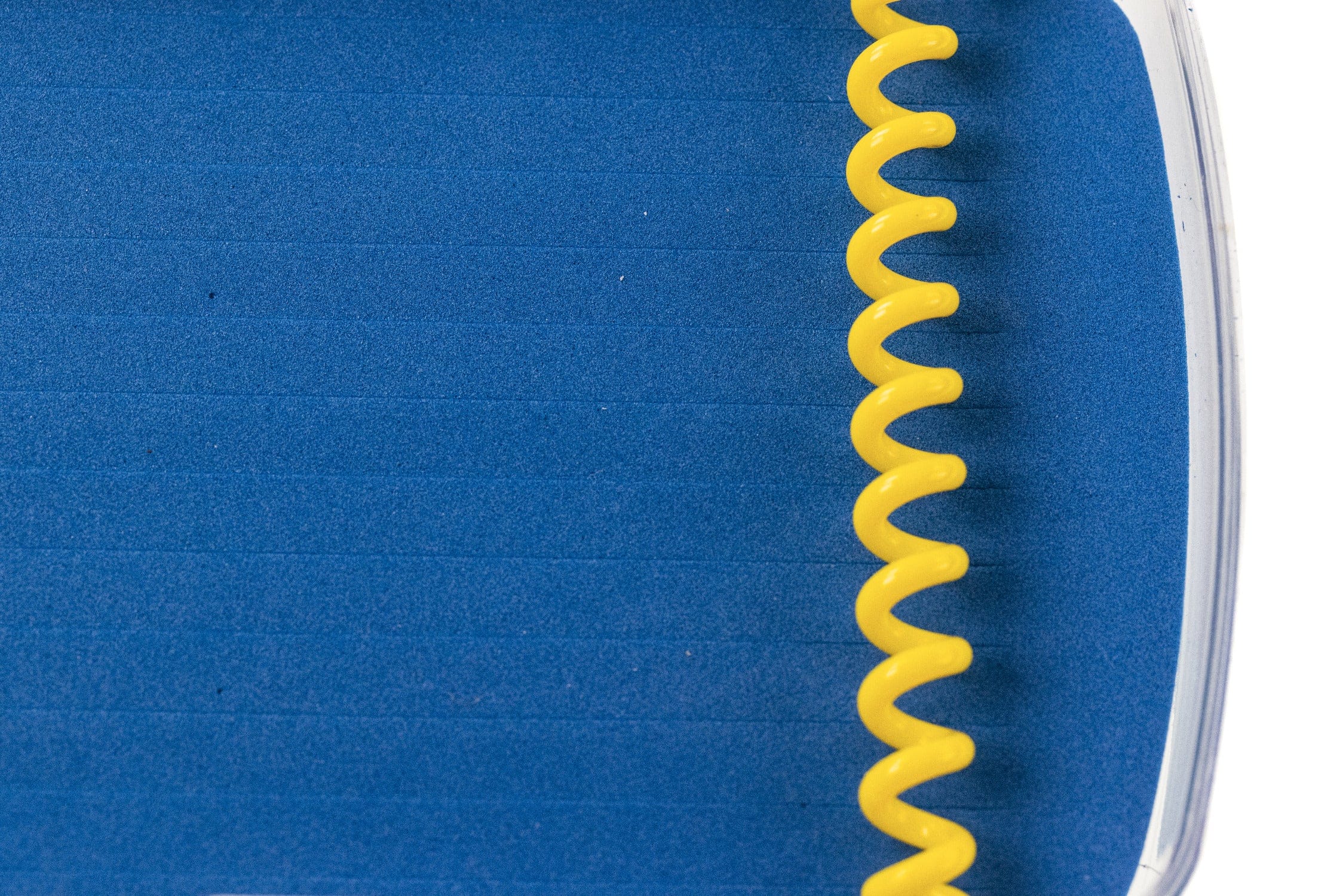 Blue foam interior of Cliff's Articulator fly box with yellow coiled plastic retention strip and clear plastic case edge