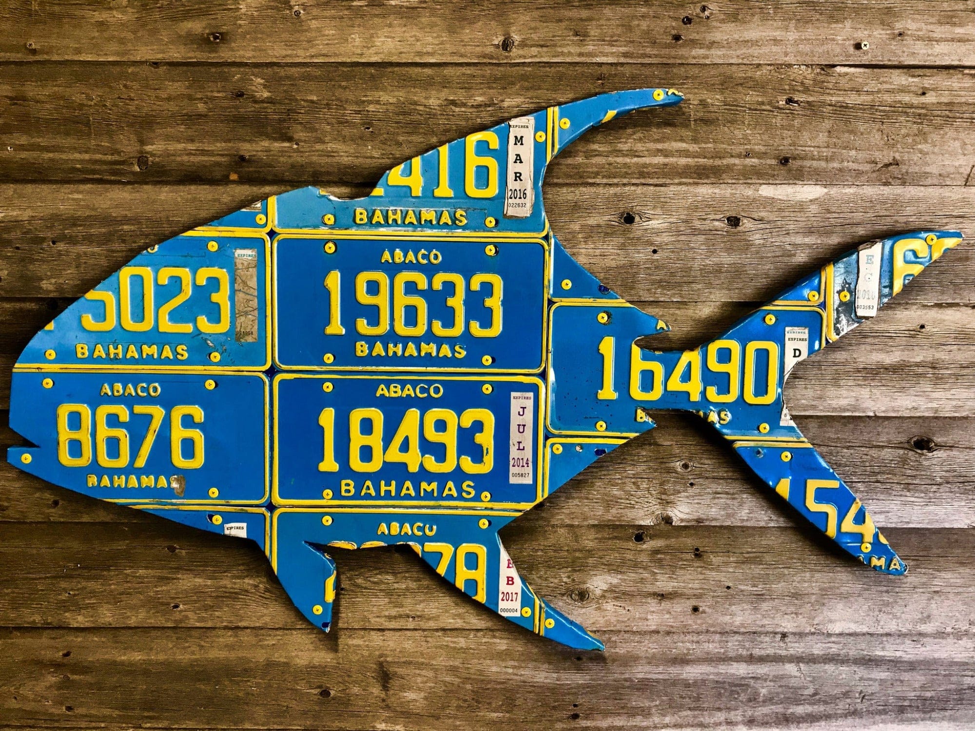 Bahamas Permit License Plate Artwork - Image 1