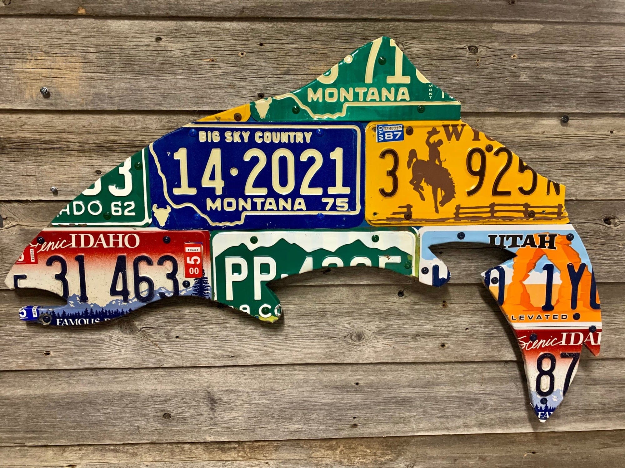 Mixed Western Trout License Plate Artwork - Image 2