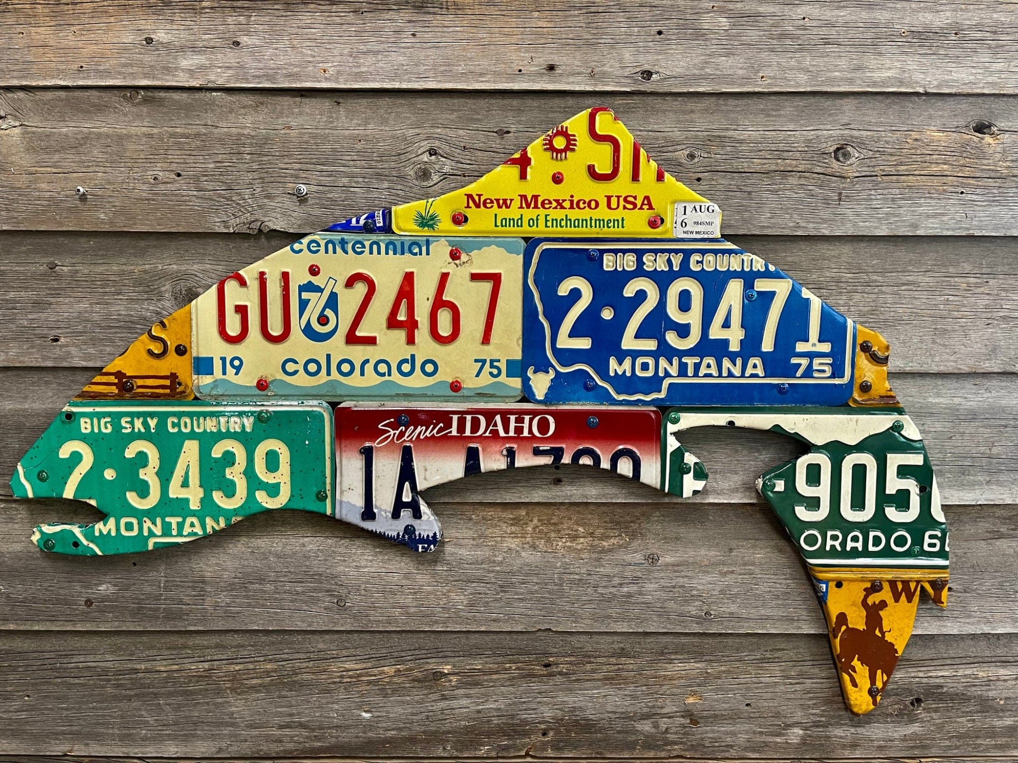 Mixed Western Trout License Plate Artwork - Image 1