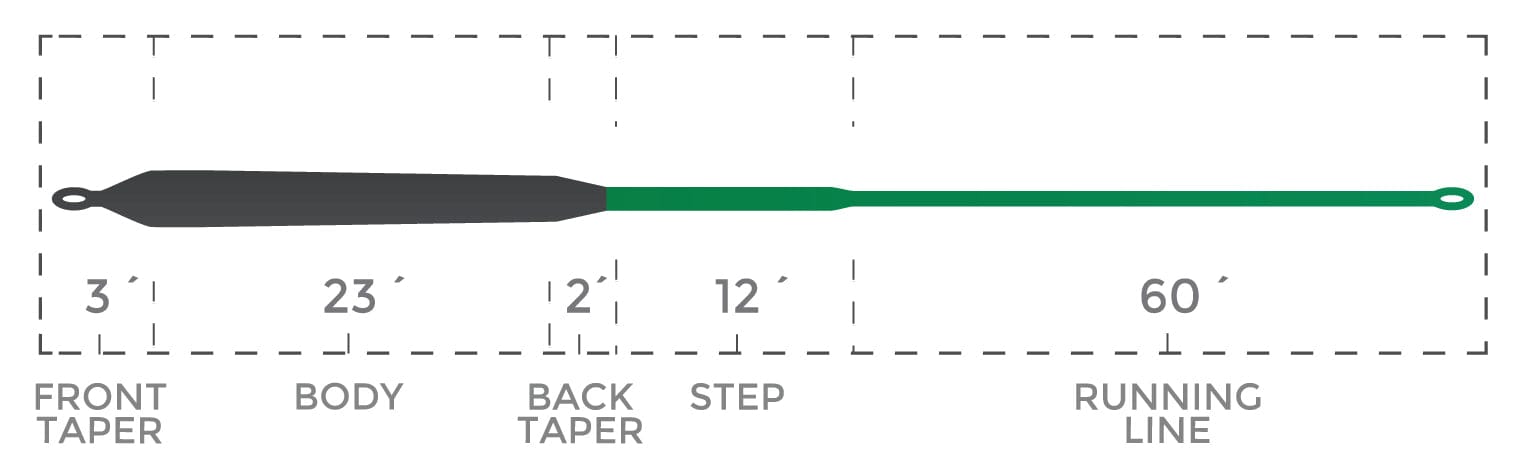 Cortland Compact Specialty Sink Fly Line