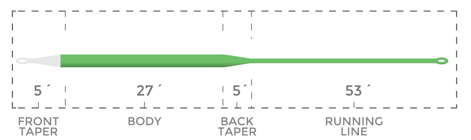 Cortland Ghost Tip 5 green tapered fly line with white loop ends, 5' front/back tapers, 27' body, long running line