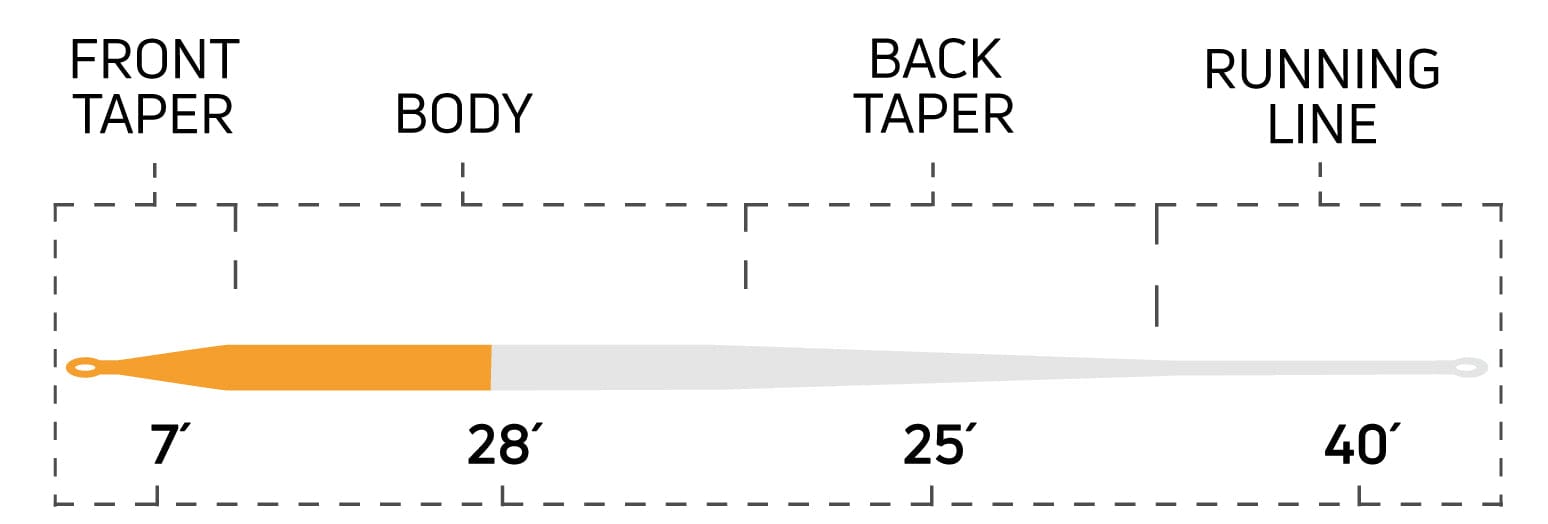 Cortland long belly distance fly line diagram showing orange front taper 7', gray body 28', back taper 25', running line 40