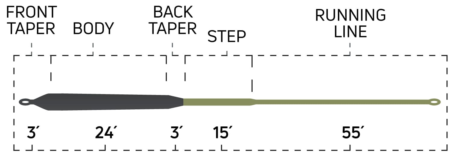 Dark gray tapered sink 8 fly line head transitioning to olive green running line with labeled 3', 24', 3', 15', 55' segments