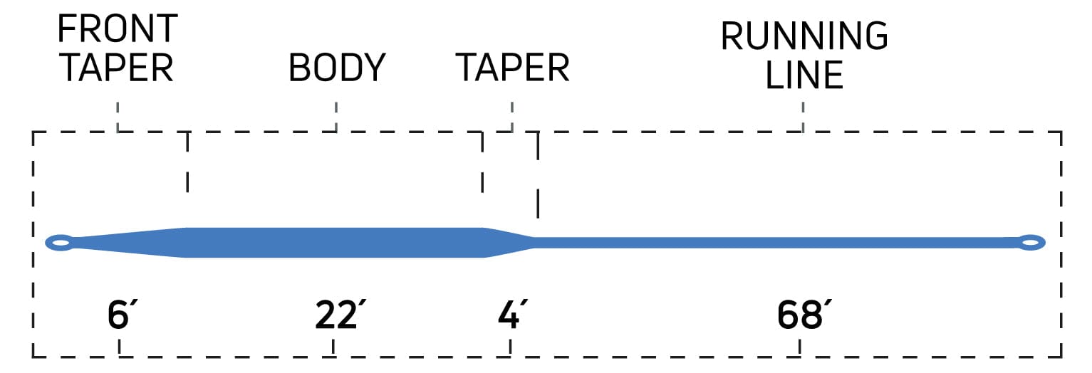 Cortland Striped Bass Intermediate Fly Line