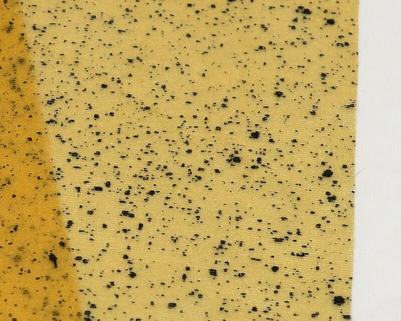 Pale yellow mottled web wing material with black speckles, synthetic fly tying wing sheet