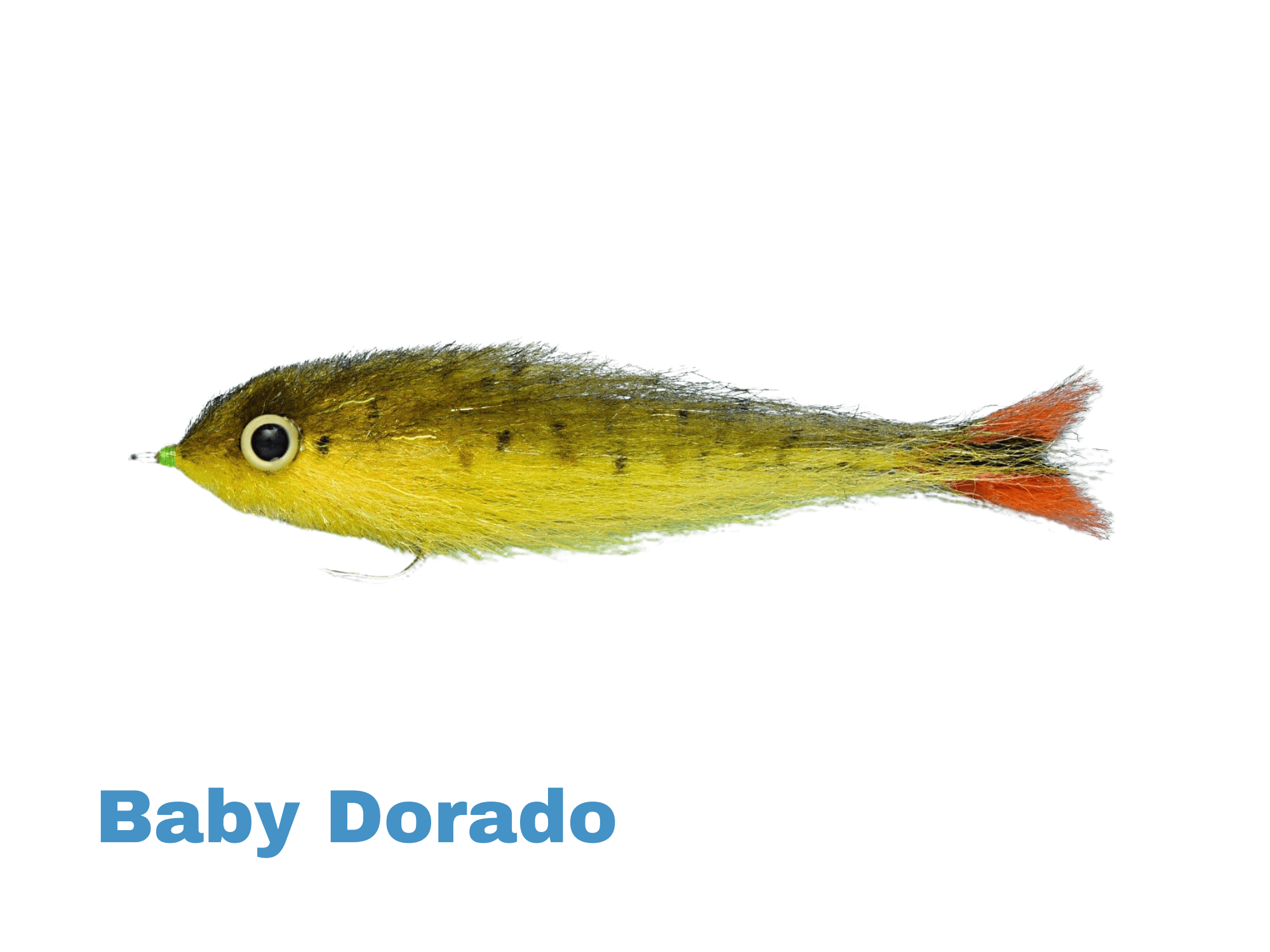 EP Dorado Fly