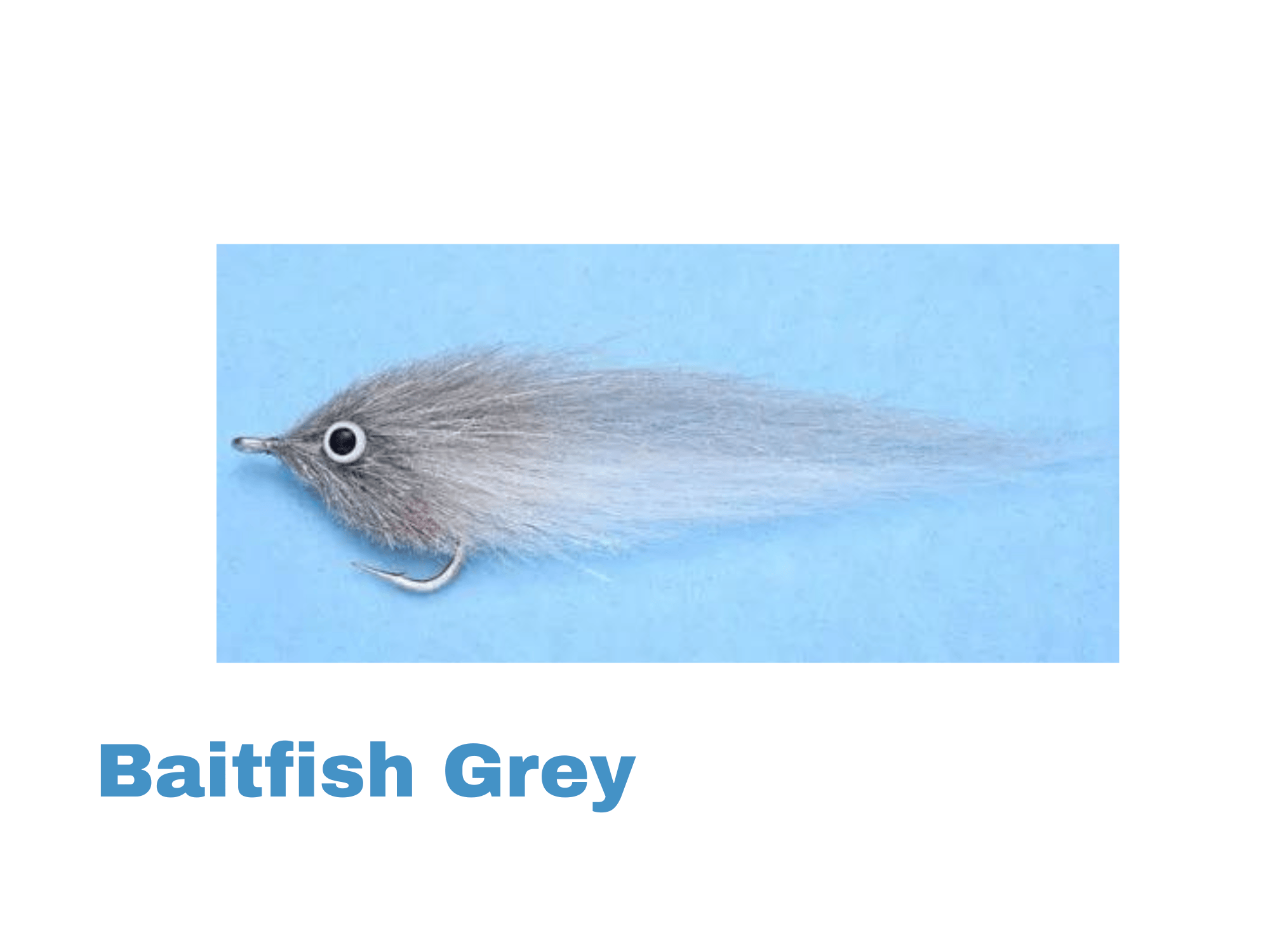 EP GT Fly