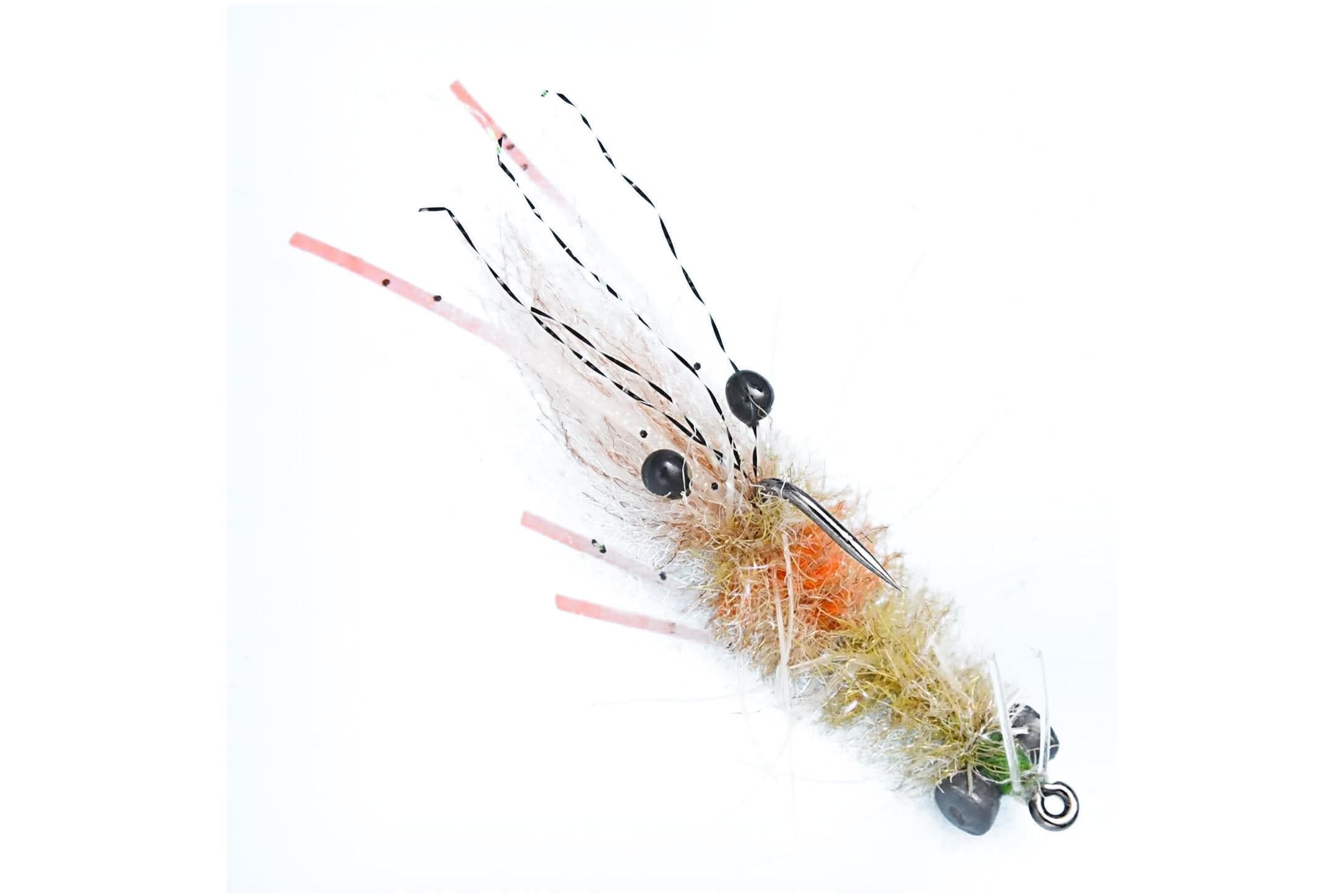 EP Mantis Shrimp Fly