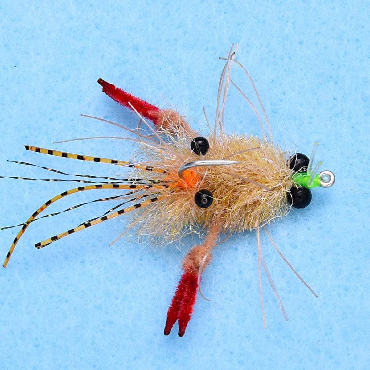 EP Tarantula Crab Fly