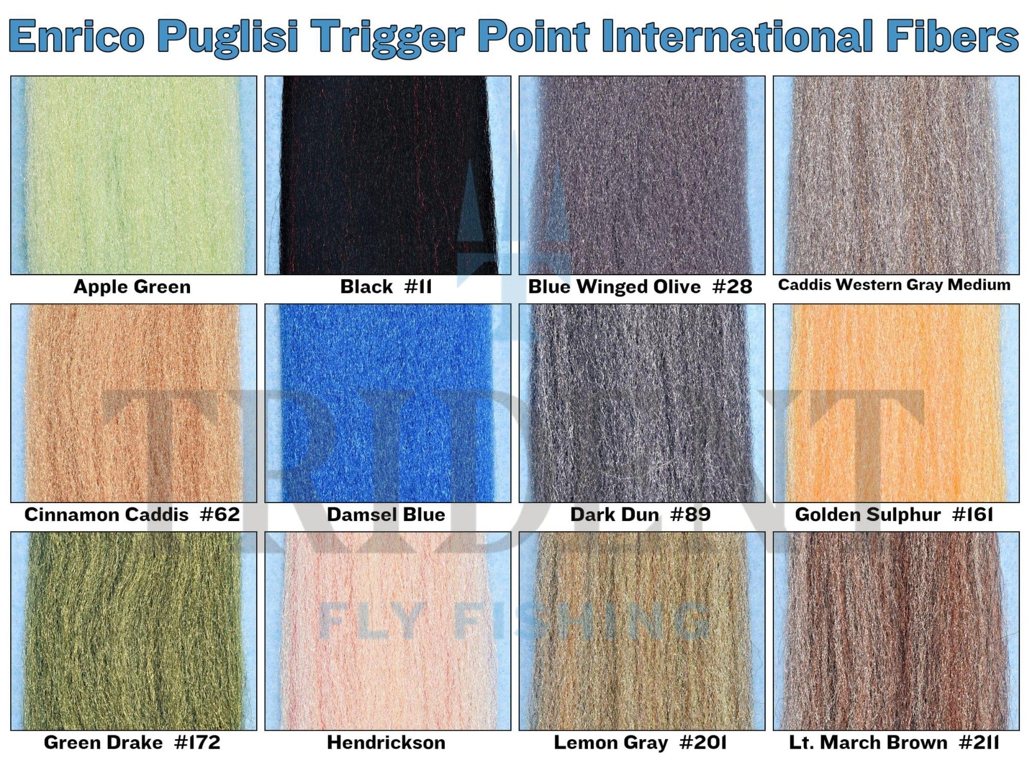Enrico Puglisi Trigger Point International Fibers