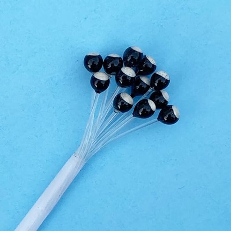 Glossy black crustacean eyes with silver flat spots on clear stems for fly tying, UV-reflective, set against blue