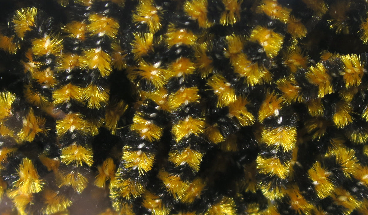 Fly Fish Food Stonefly Chenille