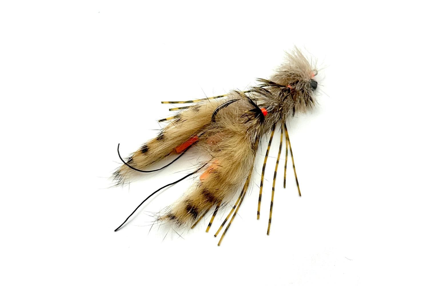 Clawed Changer Fly