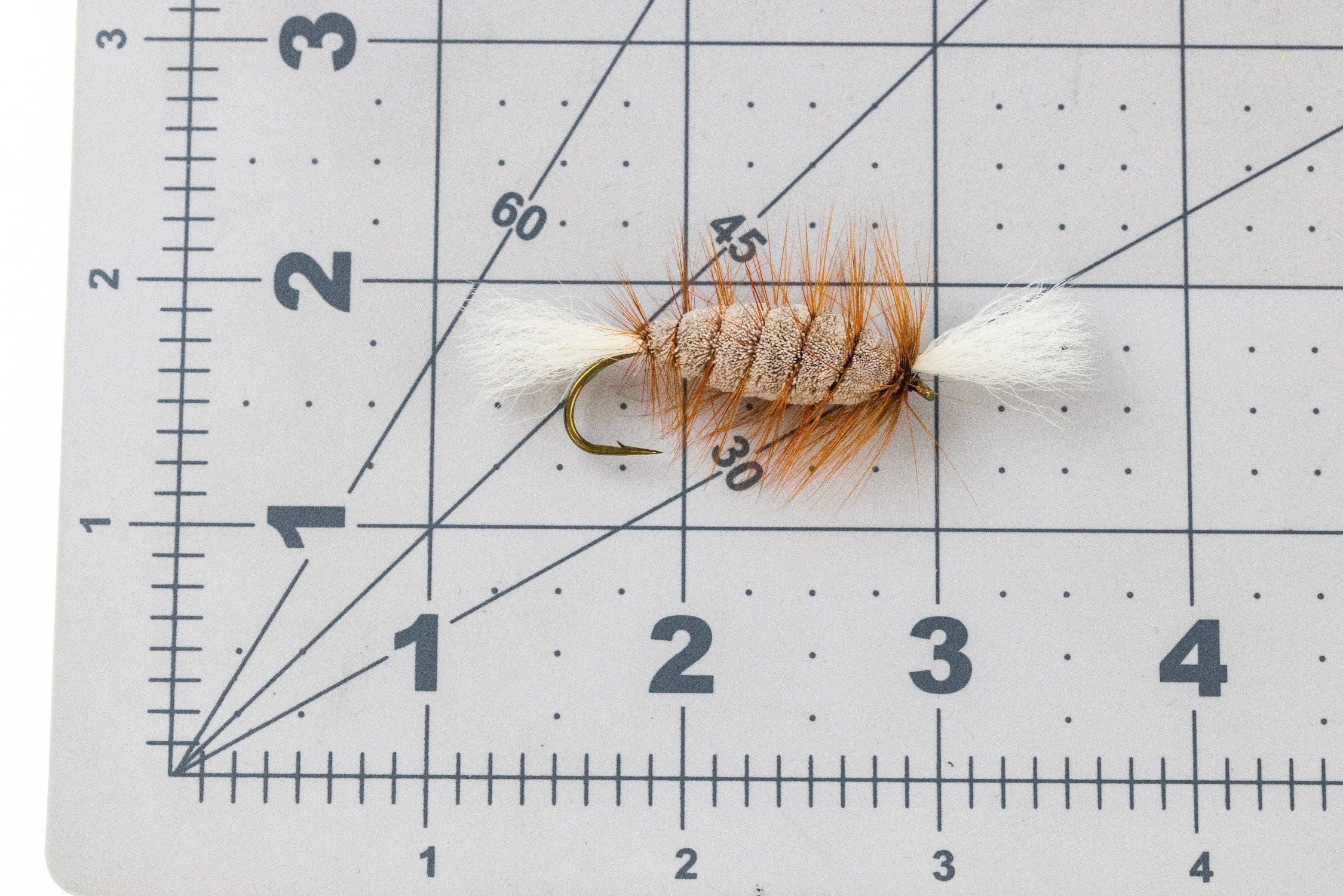 Cigar Bomber Fly