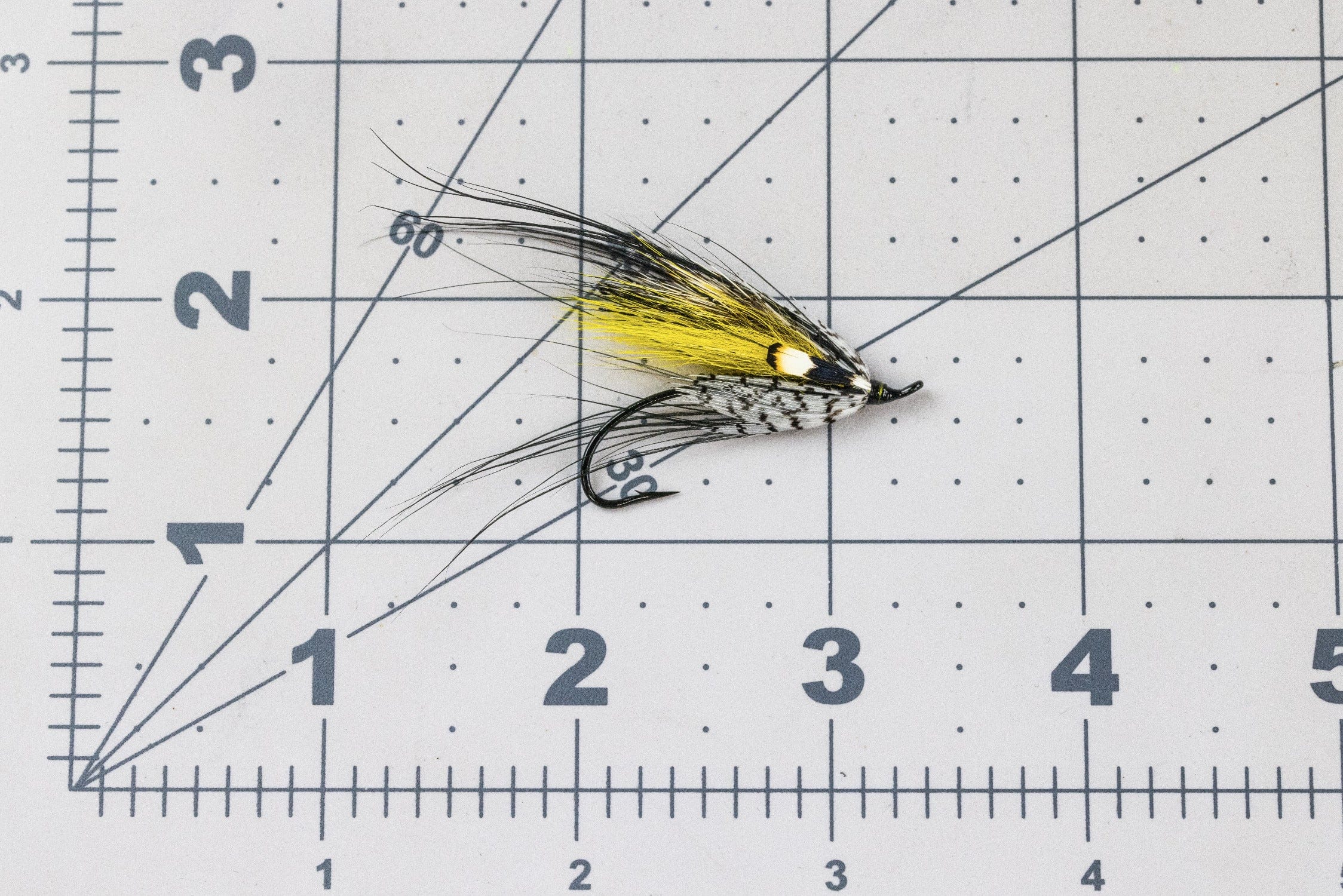 Picasse Fly