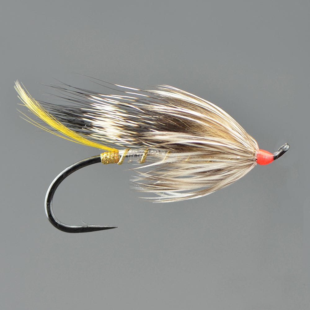 Silver Rat Fly