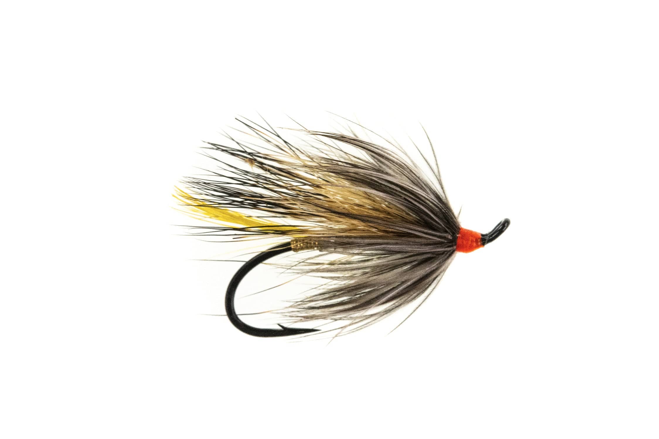 Silver Rat Fly