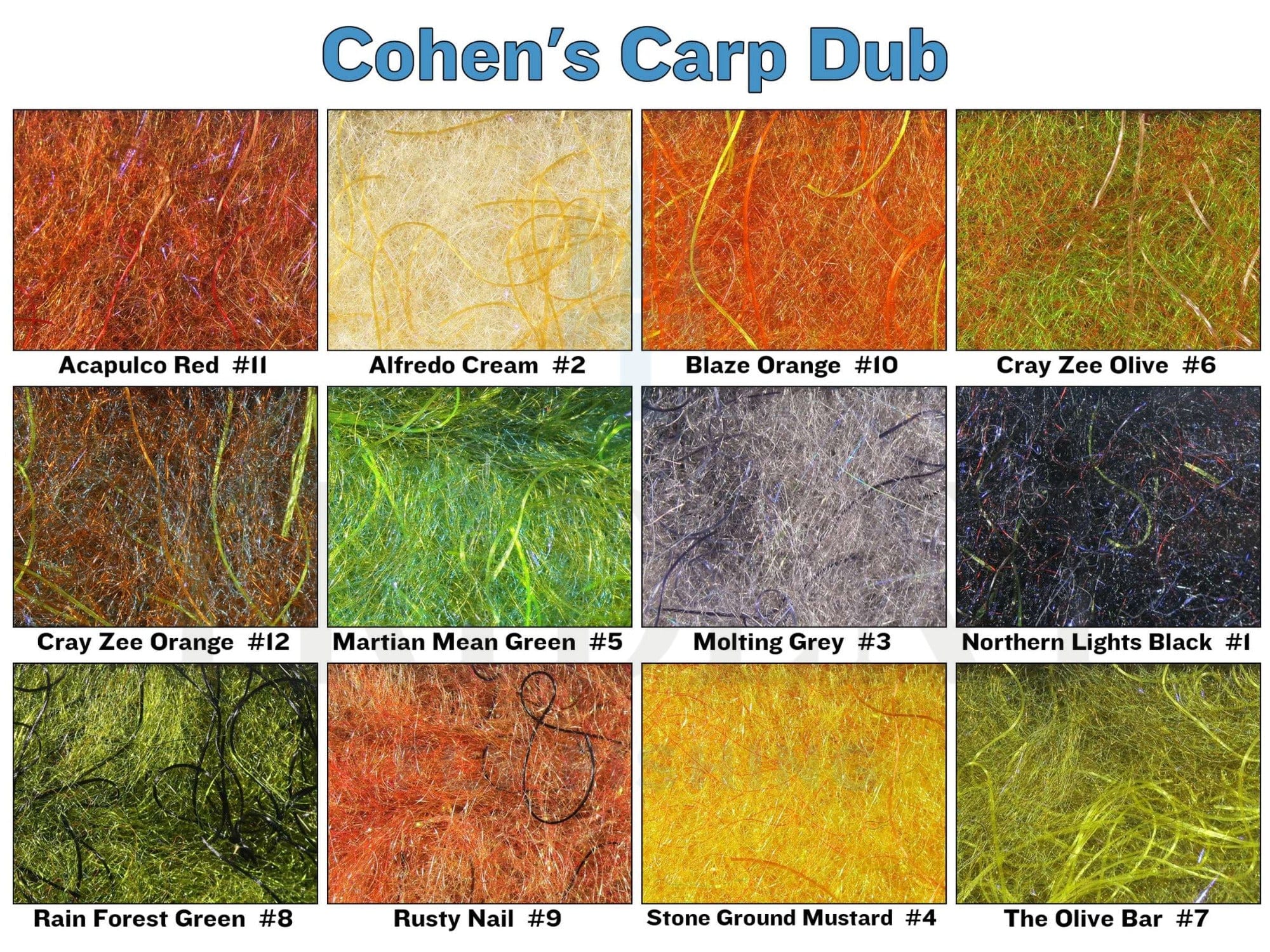 Cohen's Carp Dub