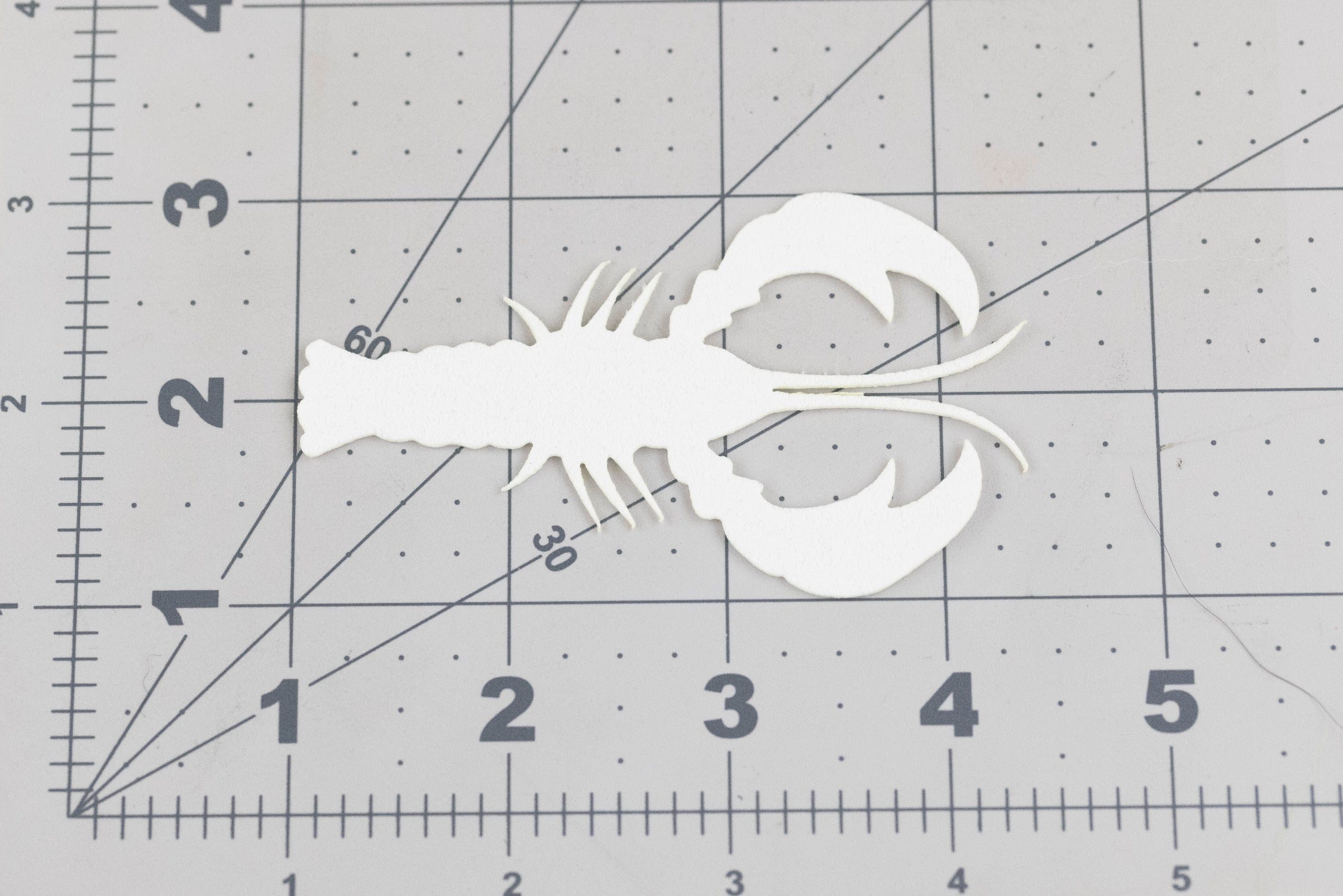 Cohen's Crayfish Creature