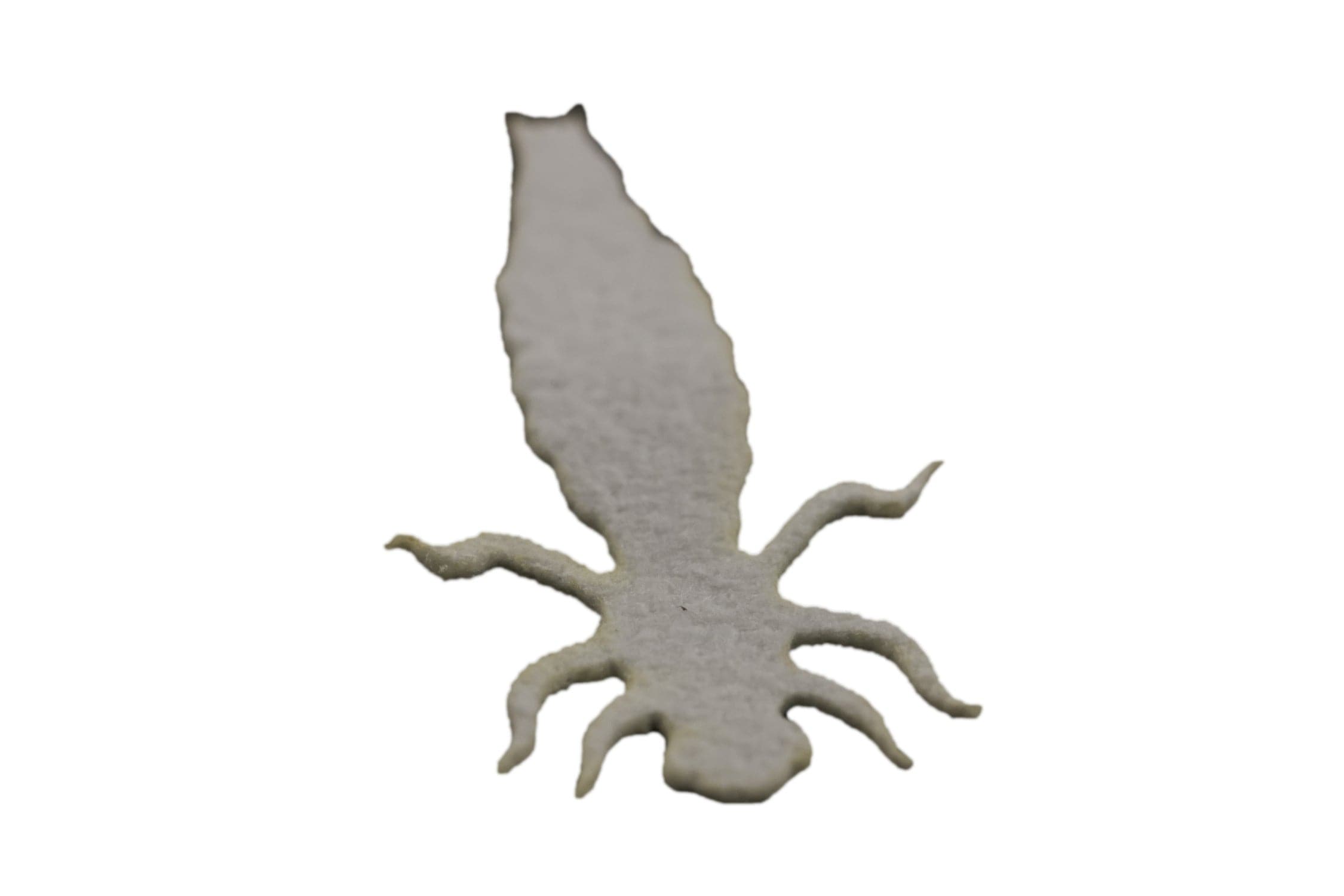 Cohen's Dragonfly Nymph Body