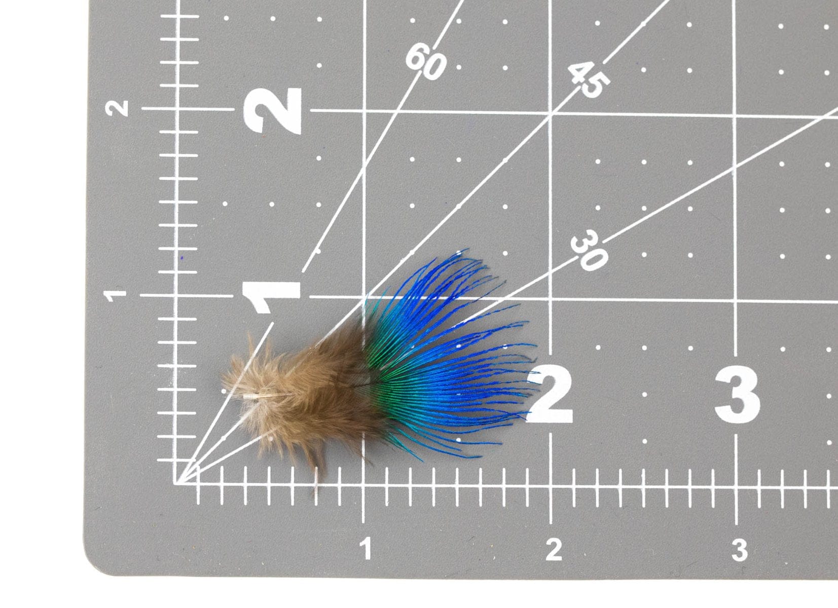 Hareline Blue Peacock Neck Feathers