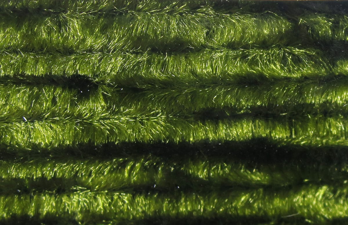 Olive green chenille close-up showing fuzzy synthetic yarn with metallic sheen for fly tying