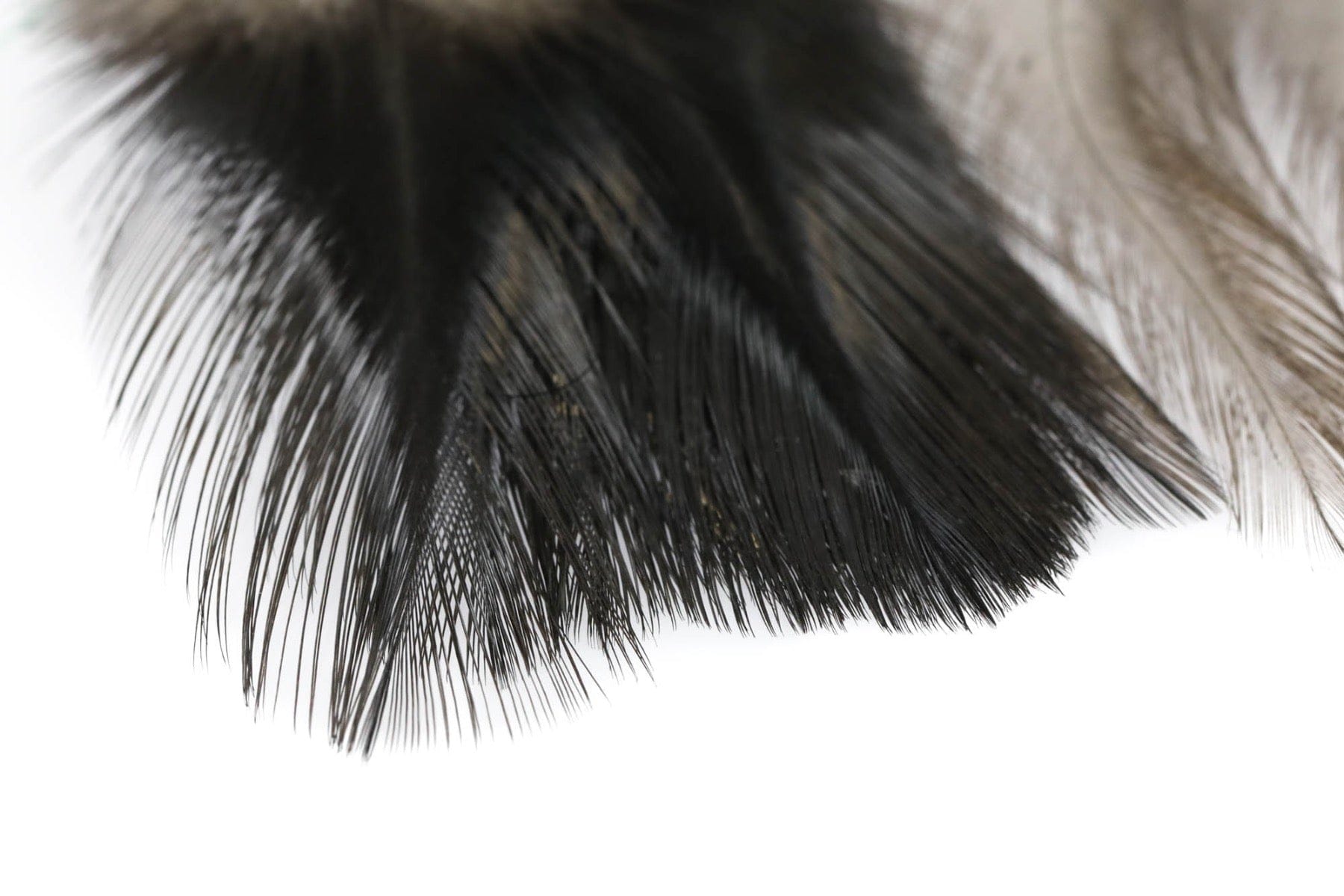 Hareline Coq De Leon Feathers