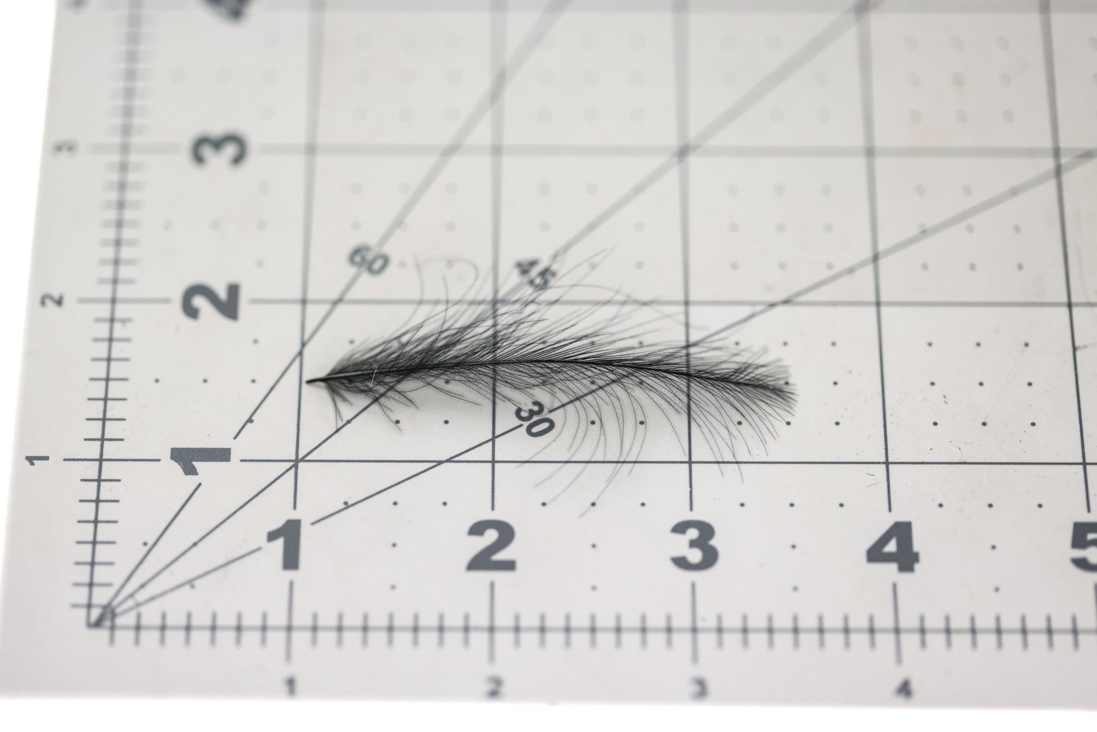 Hareline Cul De Canard CDC Feathers