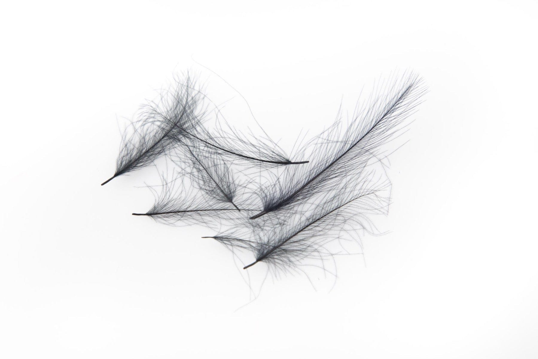 Hareline Cul De Canard CDC Feathers