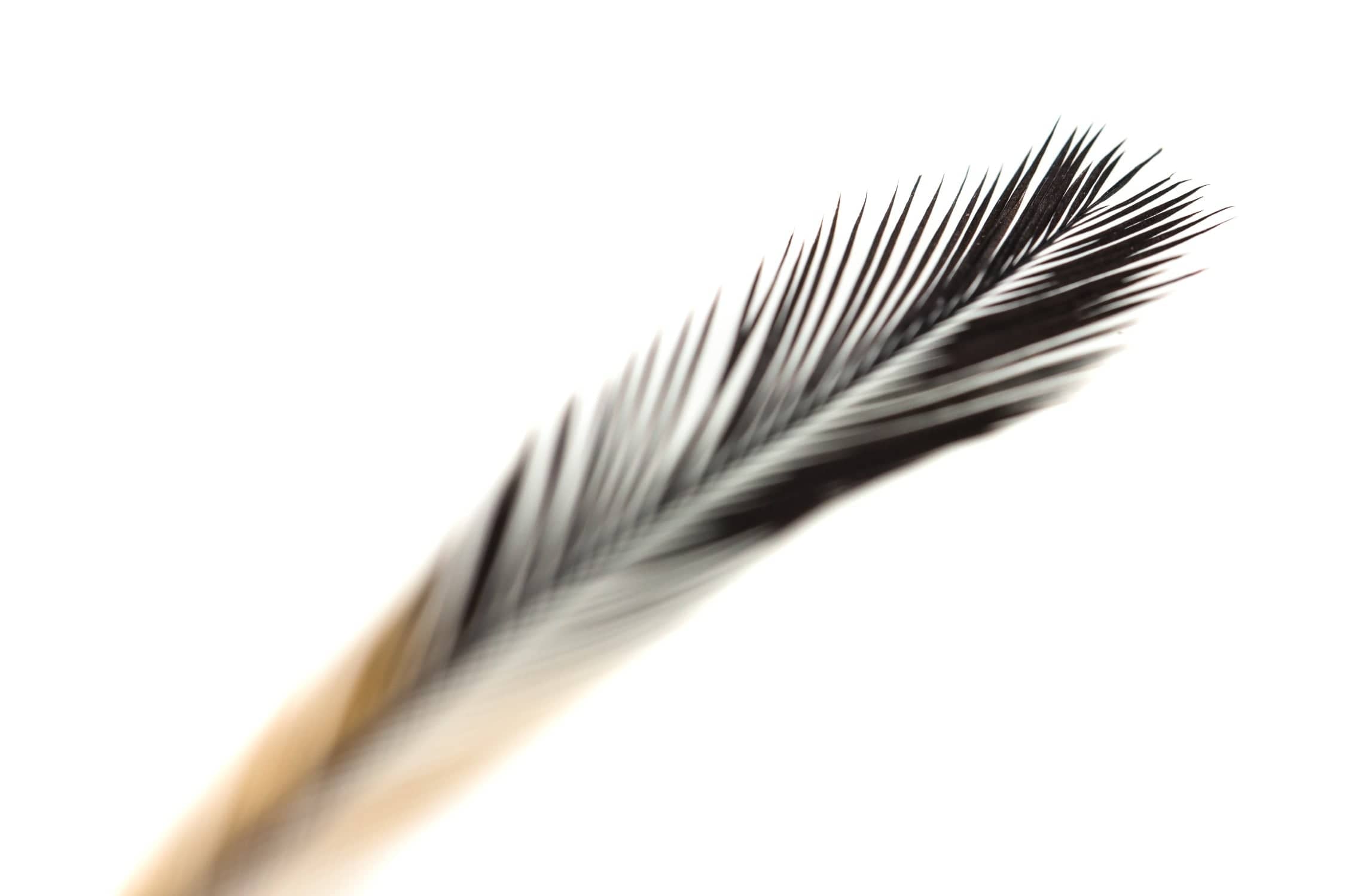 Hareline Emu Feathers