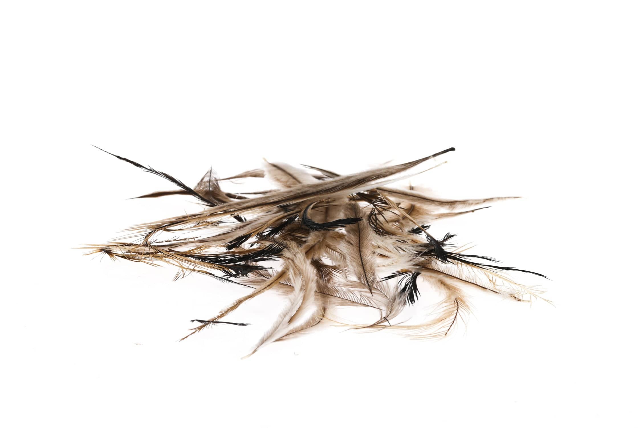 Hareline Emu Feathers