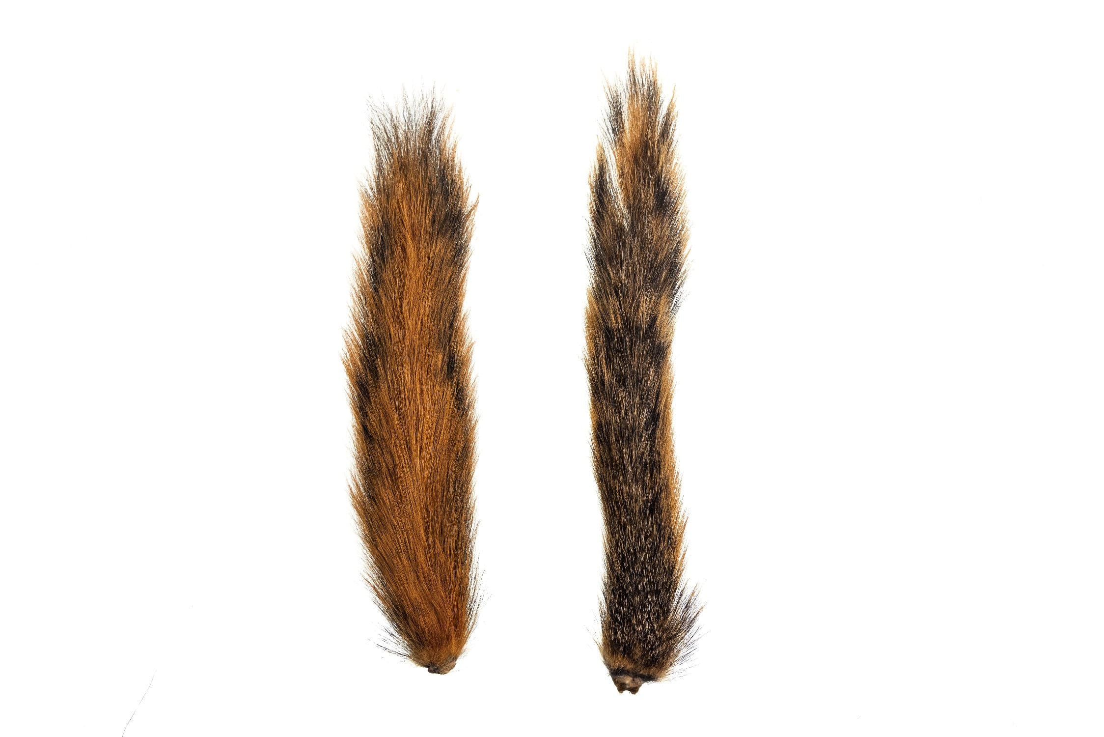Hareline Fox Squirrel Tail