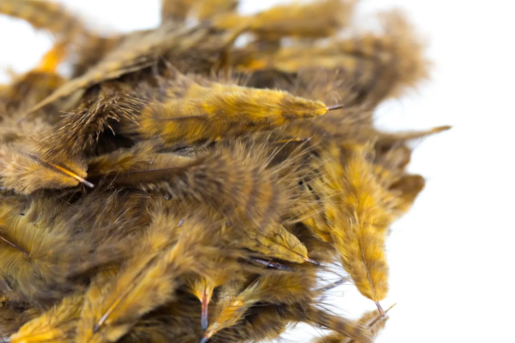 Hareline Grizzly Marabou Feathers